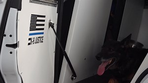 1.9M views · 149K reactions | K-9 Justice's final radio sign off. Thank you K-9 Justice for your 8 years of service to the HCSO. Enjoy your retirement! | Hernando County Sheriff's Office | Facebook