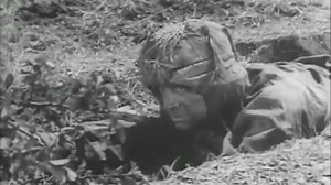 Sniper’s Deadly Dawn: Surviving Ambush and Mastering the Kill