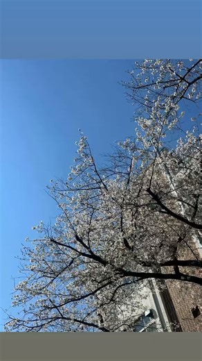 260403changmin88 IGS 업뎃！#최강창민 #심창민 #MAX_CHANGMIN #チャンミン #沈昌珉#동방신기 #TVXQ! #東方神起
