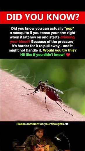 Make Mosquitoes EXPLODE with This Trick! #facts #shorts