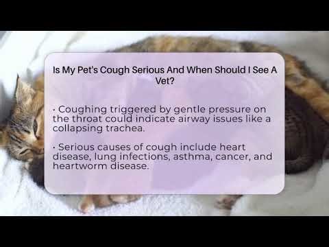 Is My Pet's Cough Serious And When Should I See A Vet? - Ask A Pet Vet