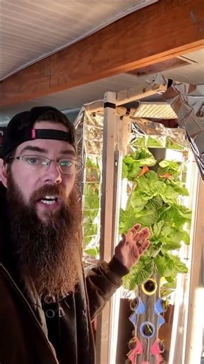 DIY Grow Tower Lettuce tower update #diy #garden #growing #lettuce