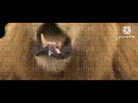 Metro Goldwyn Mayer Logo (2012-2021)