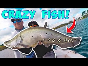CRAZY FISH CAUGHT! Monster Mike Fishing