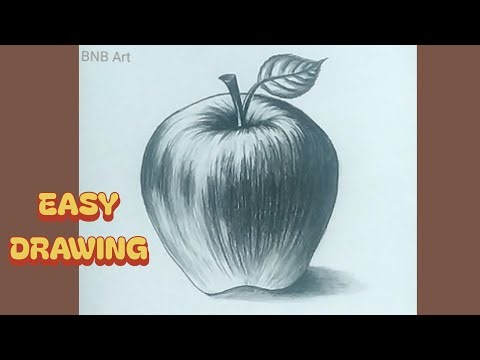 Lean Easily How to Draw a Realistic Apple : Step by Step Tutorial for Beginners