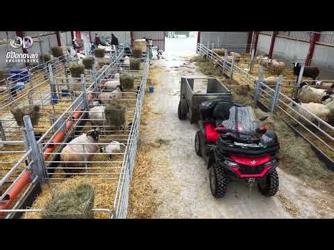 High Spec 10 Bay Sheep Shed Design for Lambing #sheepfarming #sheep #sheepshed