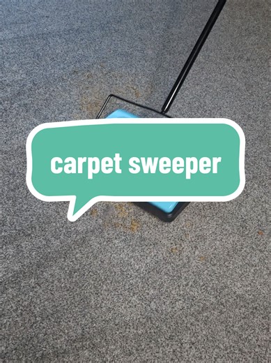 Discover the Benefits of a Manual Carpet Sweeper