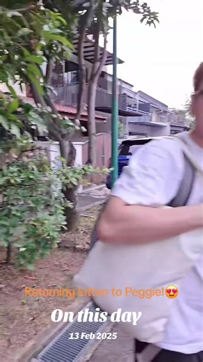 Celebrating National Cat Day: Tips for Feeding Felines