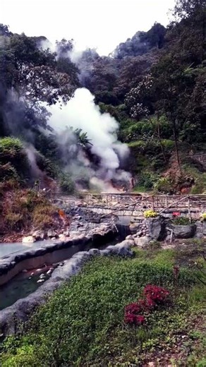 Mount Kamojang is a geothermal source located in West Java, Indonesia. #shorts #natural
