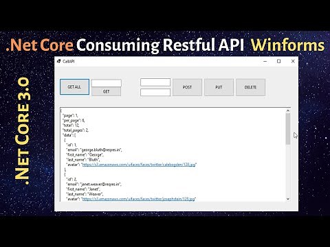 .NetCore Winforms (Desktop application) - Consuming Restful API Services - Step By Step