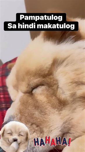 #superFAITH | Jhun M. Genil