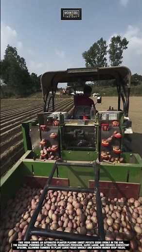 Planting sweet potatoes automatically using tractor tool