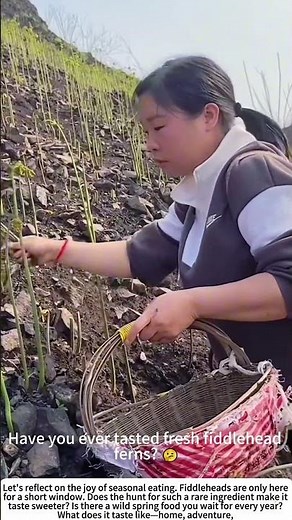 Spring's Secret Harvest: Picking Wild Fiddleheads 🌱