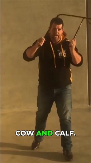 Cow & Calf: The Core of 'The Train' Trick!