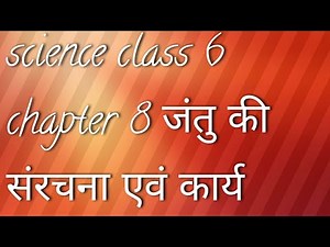 Science class 6 chapter 8 jantu ki sanrachna & kary,विज्ञान कक्षा 6 अभ्यास 8 जंतु कीसंरचनाएवं कार्य