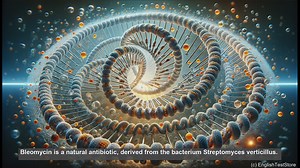Bleomycin in biology