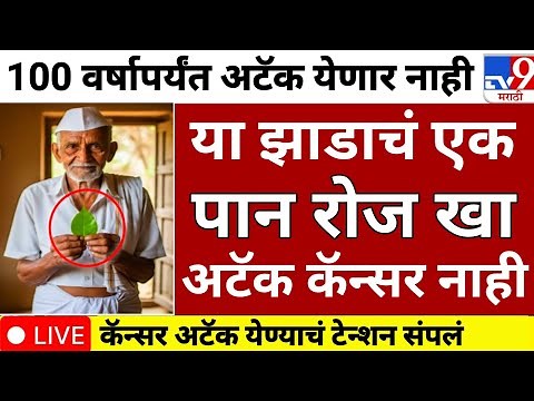 Use these 3 leaves | You will get sleepy | Calcium will increase | swagat todkar upay in marathi 💸🤑