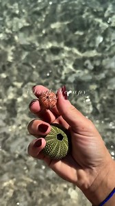 6.4K views · 2K reactions | Welcome to the island of sun!  ・・・...