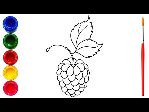 Grapes Fruit Drawing for Little Artists