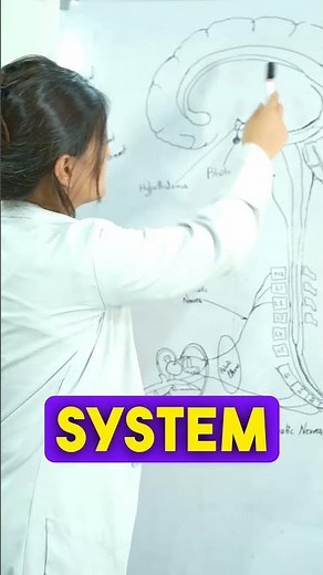 Penile Erection Explained | Hormones, Nerves & Mind Connection | Acharya Manish Ji