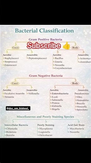 bacterial classification flow chart 📉 short notes #science revision#viral #shorts #students #study