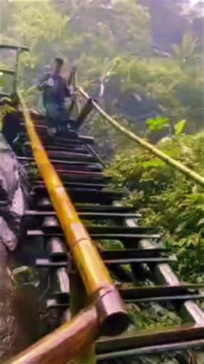 Phoenix Shield Mold Removal presents a detailed mold inspection in a crawl space. Discovering problem areas, discussing solutions, and offering expert tips on how to handle and prevent mold growth. Watch this comprehensive guide to understand the signs of mold in crawl spaces and learn the steps for effective mold remediation. Trust Phoenix Shield Mold Removal for all your mold inspection and removal needs.