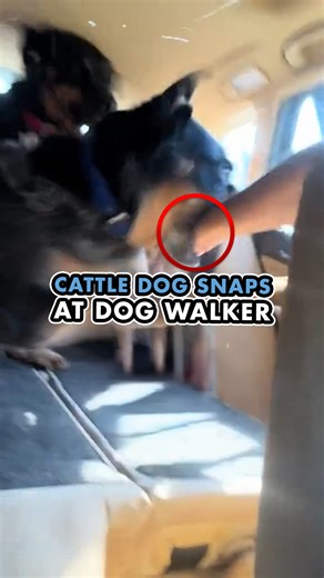 646K views · 9.7K reactions | First I want to start off by saying...