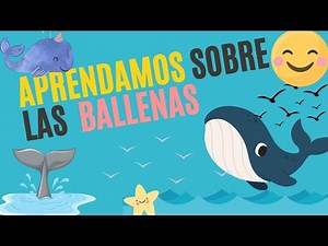 🙂 🐳 El mundo de las BALLENAS para niños #animales #aprendizaje