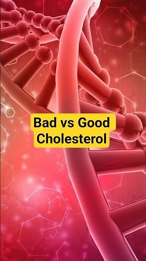 Good vs Bad Cholesterol | HDL vs LDL