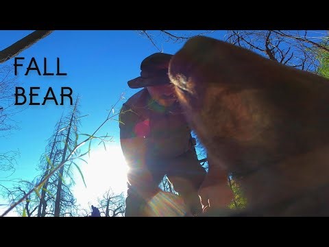 How To Hunt PUBLIC LAND Black Bear in the FALL. No bait or dogs. Oregon