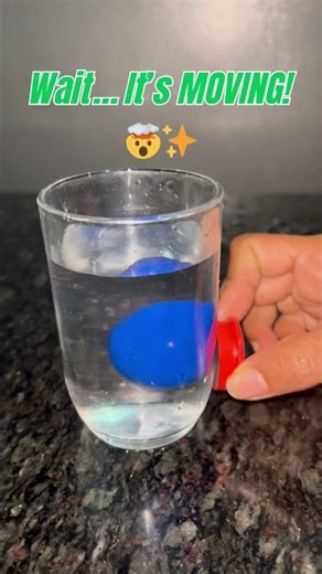Magnet Move a Ball Through Water? 🤯| Fun Science #ScienceReels #FunScience #ScienceFacts #Experiment