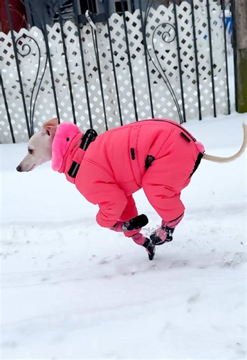 Stylish Winter Outfits for Extreme Cold Weather