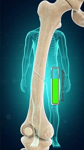 Bone Healing In 3D Animation || Tibia Fibula Femur &Other Fracture's Recovery | The Road To Recovery