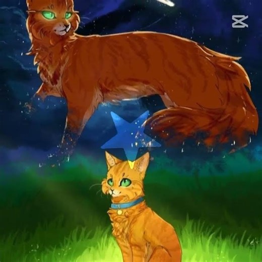 Firestar edit! (template) #warriors #warriorcats