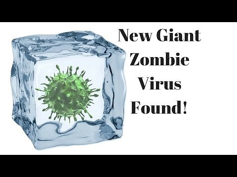 New Giant Zombie Virus Found!