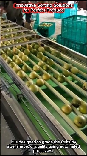 Innovative Sorting Solutionsfor Perfect Produce