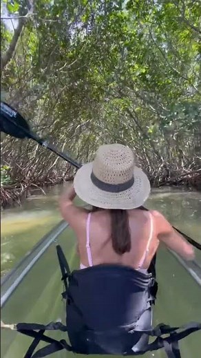 Shell Key Preserve hidden mangrove tunnels via clear kayak!