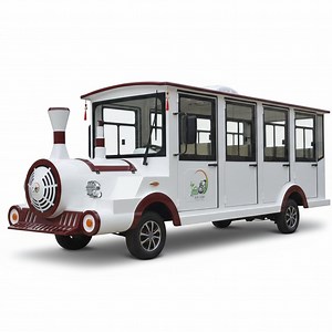 [Hot Item] Fun Cartoon-Front Electric Vehicle: 14-Seater with Door