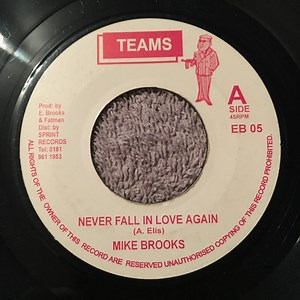 Mike Brooks - Never Fall In Love Again