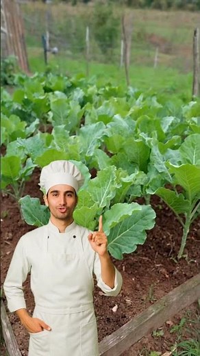 🌱 Greener, Pest-Free Kale: A Homemade Tip #shorts