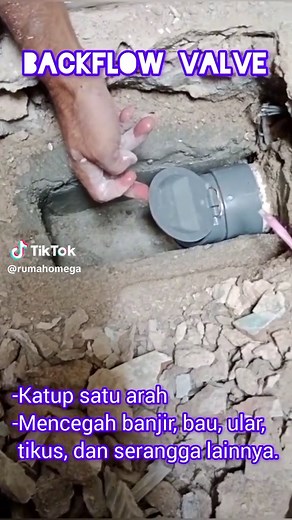 Backflow Valve. #penutupsaluranair #penutupsaluranotomatis #penutupsaluranairantibau #penutupsaluranairantitikus #penutupsaluranpipapembuangan