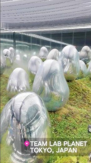 nside TeamLab Planets Tokyo — The Most Immersive Art Experience in Japan