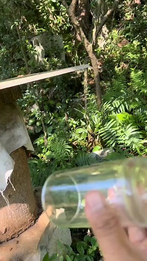 give you a lesson #tiktok #beekeeper #satisfying #satisfying #honey #wasp