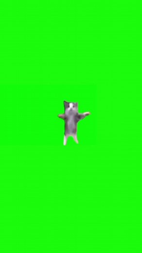 ハッピー猫音ありgif猫ミーム | 猫ミーム素材と楽しいダンスの世界