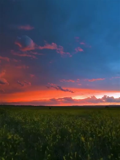 香港13358010256微信法律咨询 中西区、湾仔区、东区、南区、中环、铜锣湾、尖沙咀、金钟、香港仔、浅水湾、深水湾、赤柱、山顶、西营盘、筲箕湾、杏花邨、柴湾、石澳、九龙城区、油尖旺区、深水埗区、黄大仙区、观塘区、尖沙咀、旺角、油麻地、何文田、红磡、蓝田、九龙塘、土瓜湾、新蒲岗、佐敦、大角咀、太子、深水埗、石硖尾、长沙湾、荔枝角、北区、大埔区、沙田区、西贡区、荃湾区、屯门区、元朗区、葵青区、离岛区、沙田、大埔、上水、粉岭、屯门、元朗、荃湾、葵涌、青衣、大屿山、愉景湾、西贡、将军澳、天水围、洪水桥、落马洲、流浮山、坪洲、长洲、南丫岛、大澳、梅窝、东涌、昂坪刑事辩护、刑事侦查、审查起诉、审判阶段、经济犯、职务犯、暴力犯证据材料、辩护策略、无辩护、轻辩护、量刑建议 刑事辩护 侦查阶段法律帮助 审查起诉阶段辩护 审判阶段辩护 刑事上诉 刑事申诉 取保候审申请 羁押必要性审查