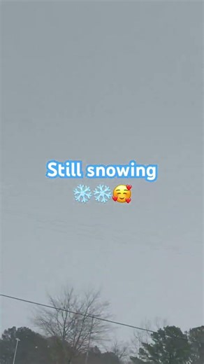 #memes #snowfall ##shorts #snowday #winterwonderland #wintervibes #funnymemes #funnyvideo