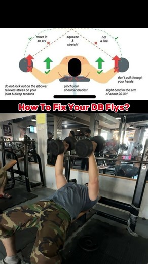 How To Fix Your DB Flys ?