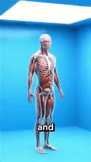 What Happens When You Hold in Pee for 24 Hours #3danimation #healtheducation #humanbody #meded