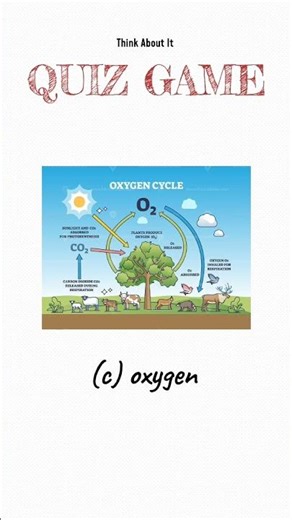 Basic Quiz | test your knowledge|Quiz game | #quiz #knowledge #generalknowledge