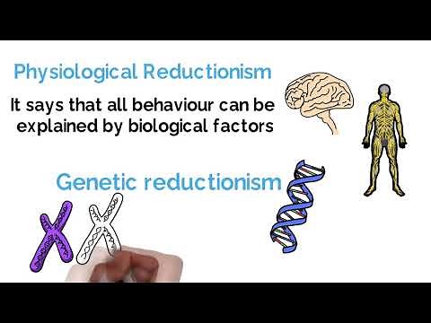 Reductionism vs Holism (Psychology Debate Explained) #Alevel